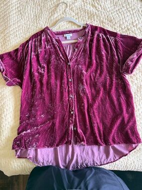 Sundance Velvet Button-Front Top in Plum